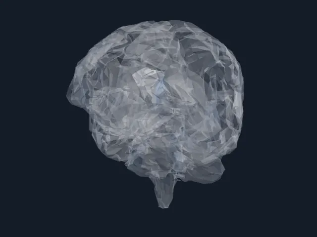 White matter tracts of a human brain, rendered in pale grey.